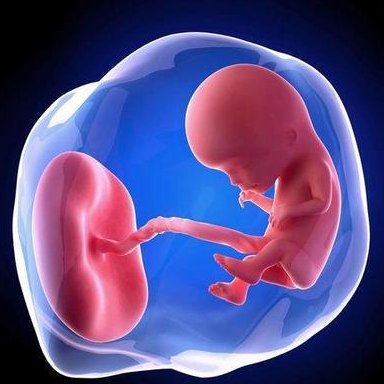 揭秘如何帮助试管婴儿胚胎着床，四大方法患者均可尝试