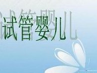 热门追踪：泰国做试管婴儿花费知多少？各项费用大揭秘！