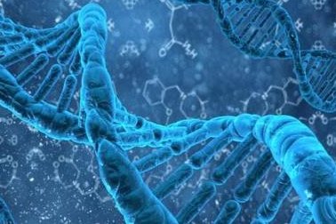 泰州哪些情况必须做三代试管？