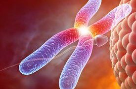 移植后能吃榴莲易着床是真的吗？